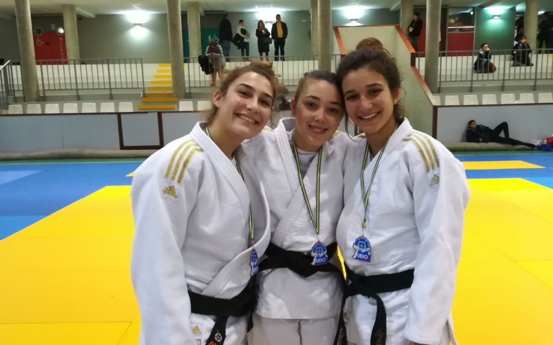 Buenos resultados de Judo Fontenebro en Gijón, Valladolid y Villaviciosa
