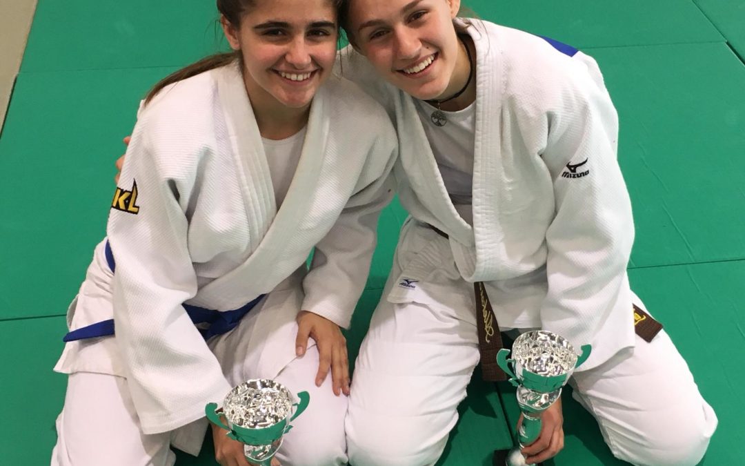 Fin de semana de medallas y buen judo para Fontenebro