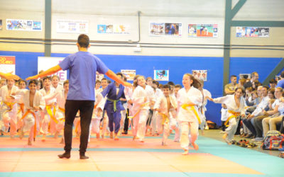 Competición fin de curso Judo Fontenebro 2018